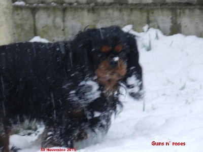 Des Pepites Du Mont Saint Loup - Guns n' roses