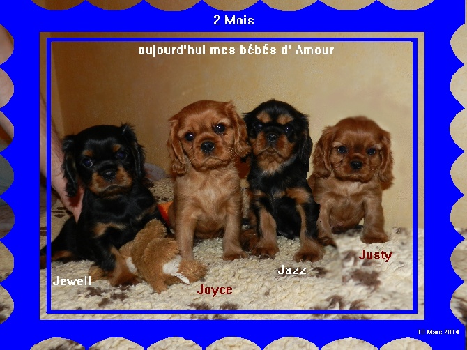 Des Pepites Du Mont Saint Loup - Les bébé ont eu 2 Mois